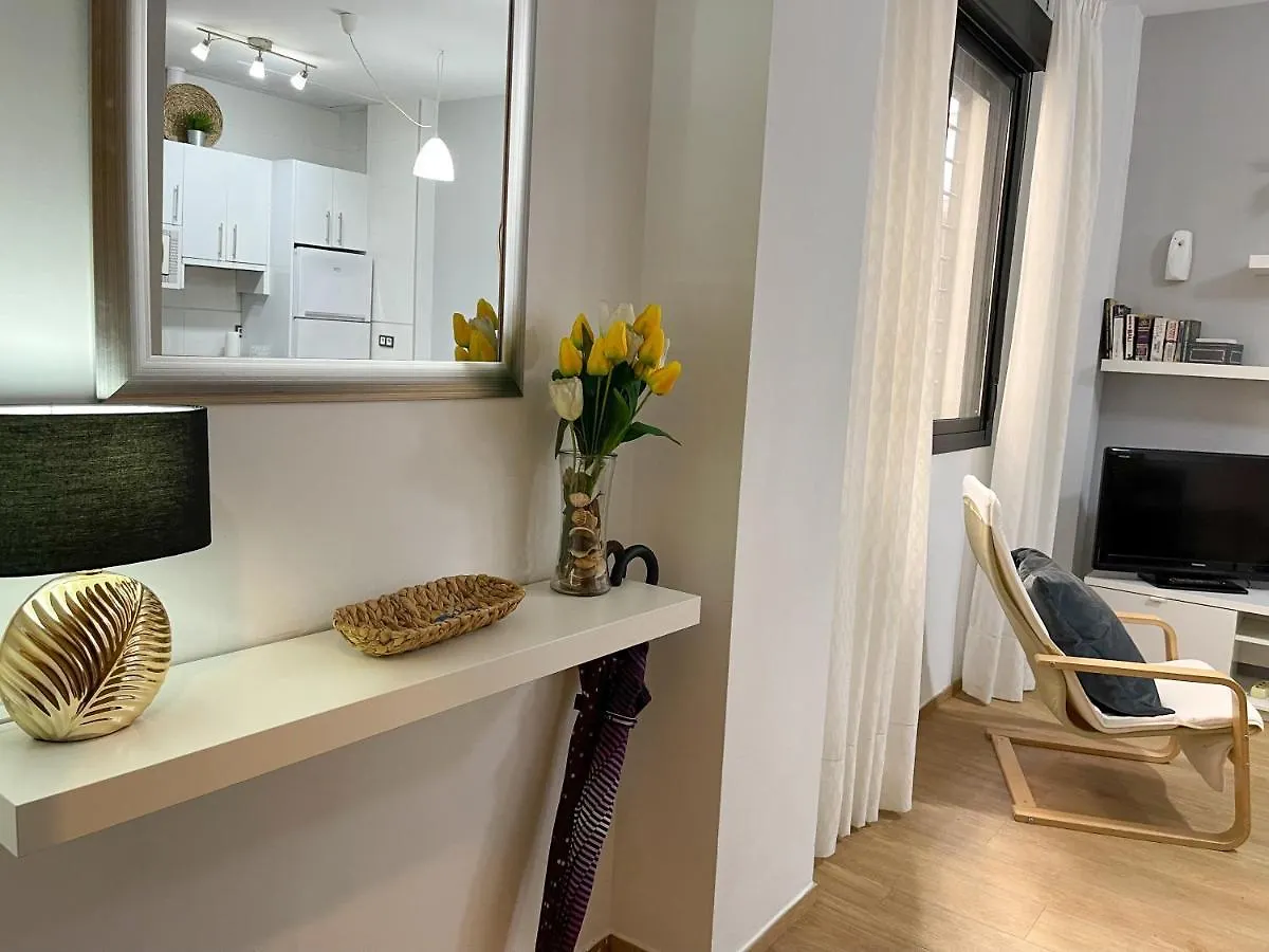 Quiet Apartment In The Heart Of Malaga Pool & Free Parking Španělsko